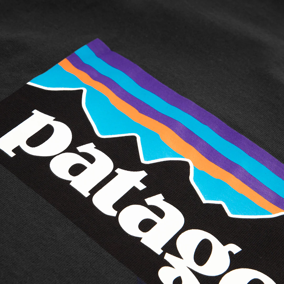 Patagonia P-6 Logo Responsibili-Tee - Image 3