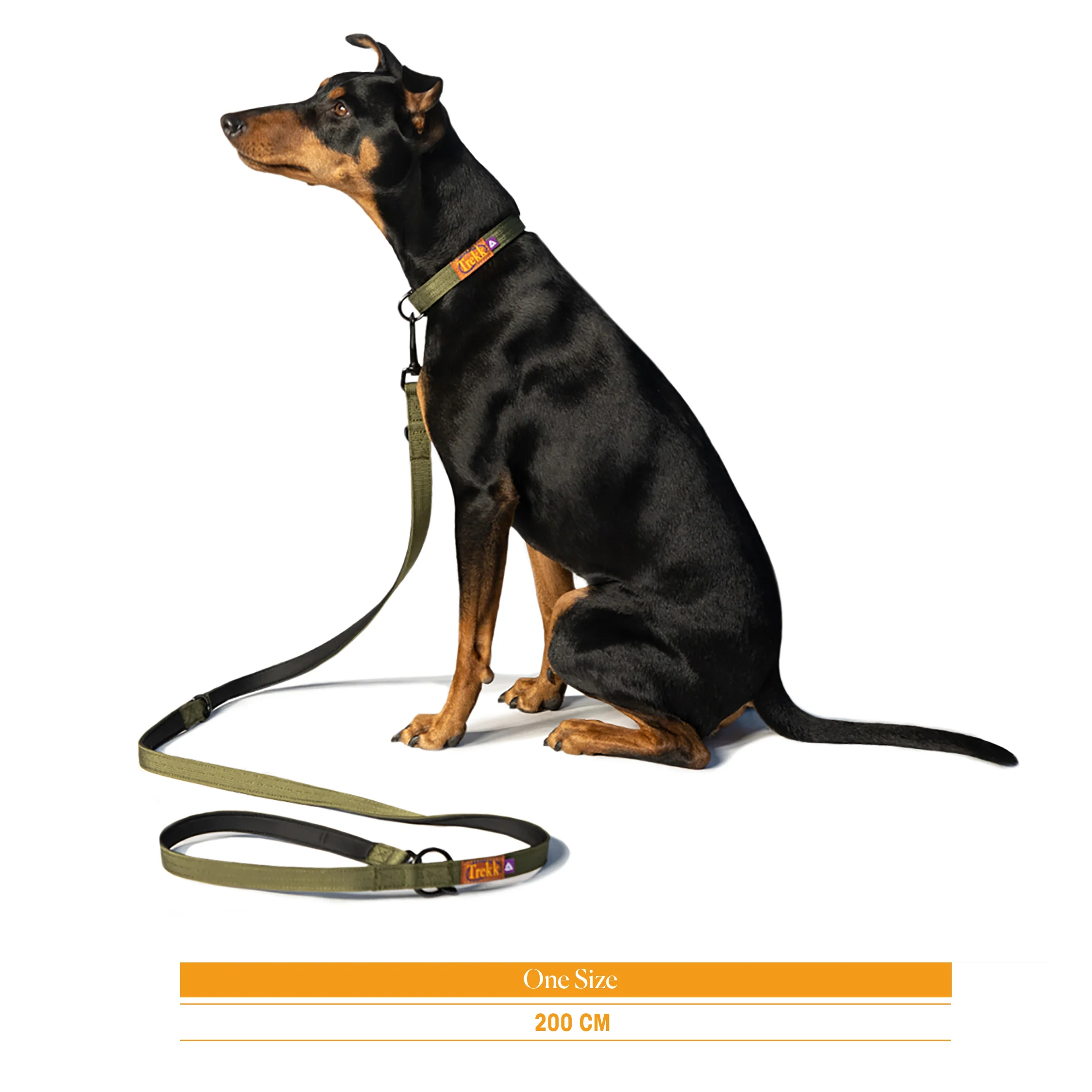 Trekk Dog Leash - Image 2